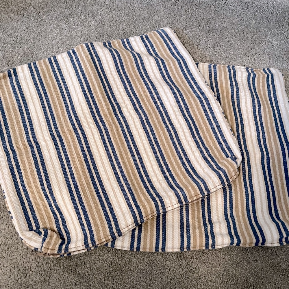 Striped Blue and Tan Accent Pillows